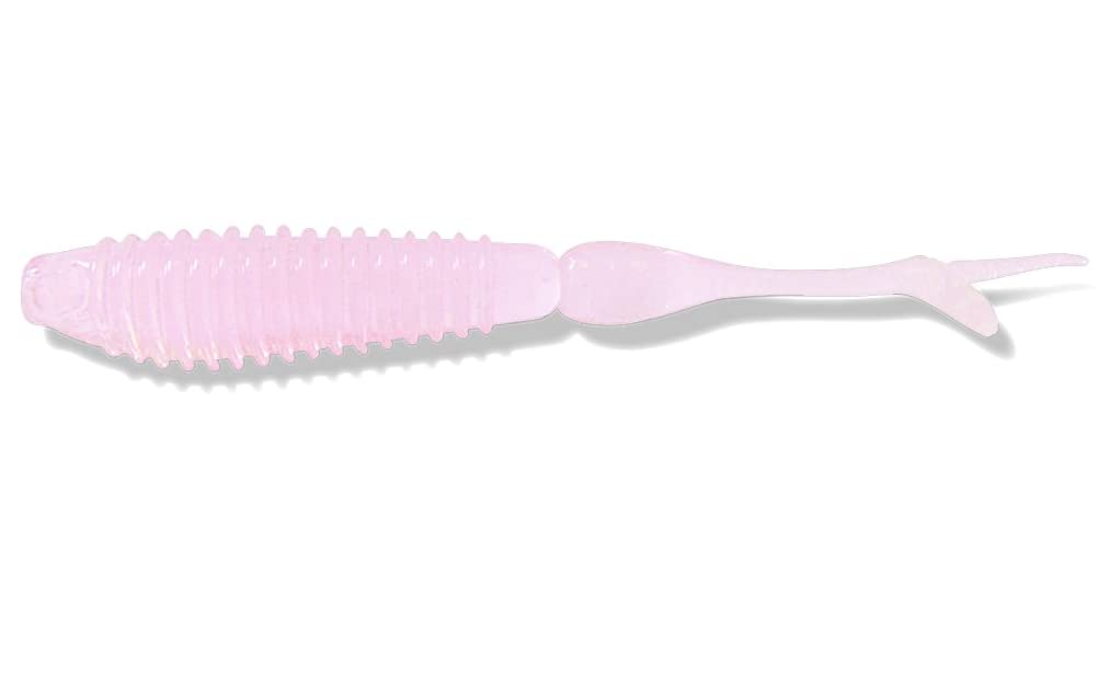 ワームのアップ写真