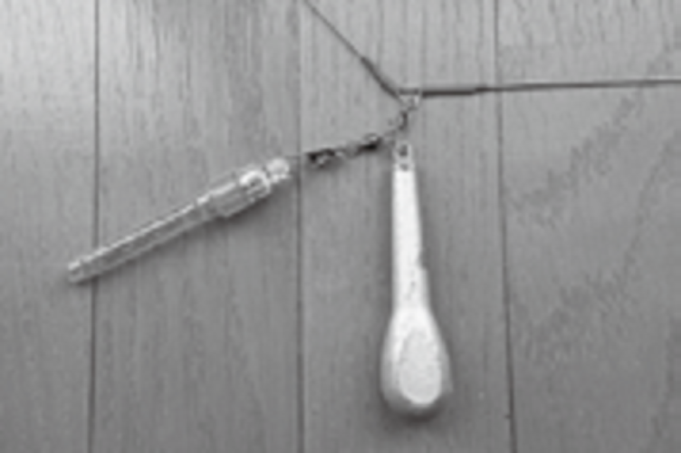 水中ランプの写真