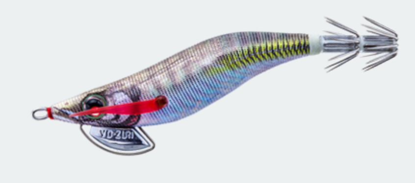 エギのアップ写真