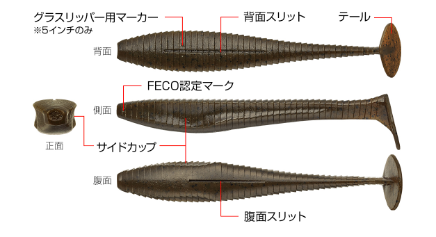 ワームのアップ写真