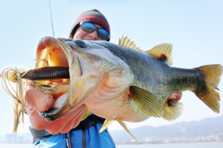 魚とワームのアップ写真