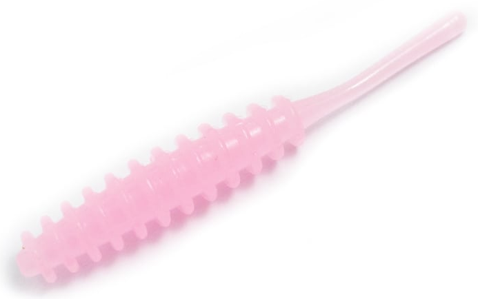 ワームのアップ写真