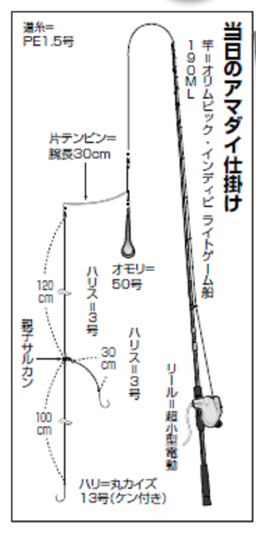 アマダイファンに朗報 東京湾で順調にスタート