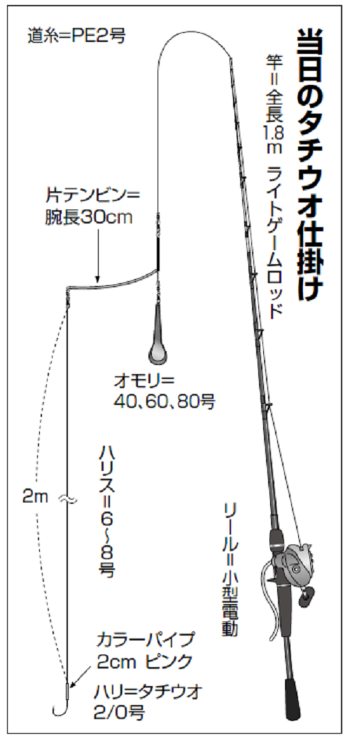 当日のタチウオ仕掛け