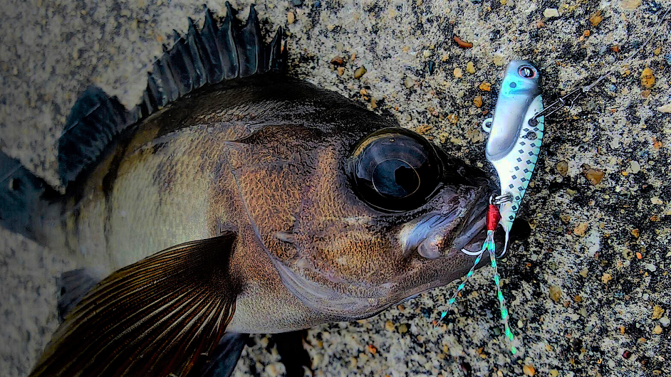 ソルティーステージ マイクロ鉄板があればライトソルトウォーターゲームを楽しめる!2021年新登場