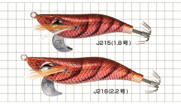 エギのアップ写真