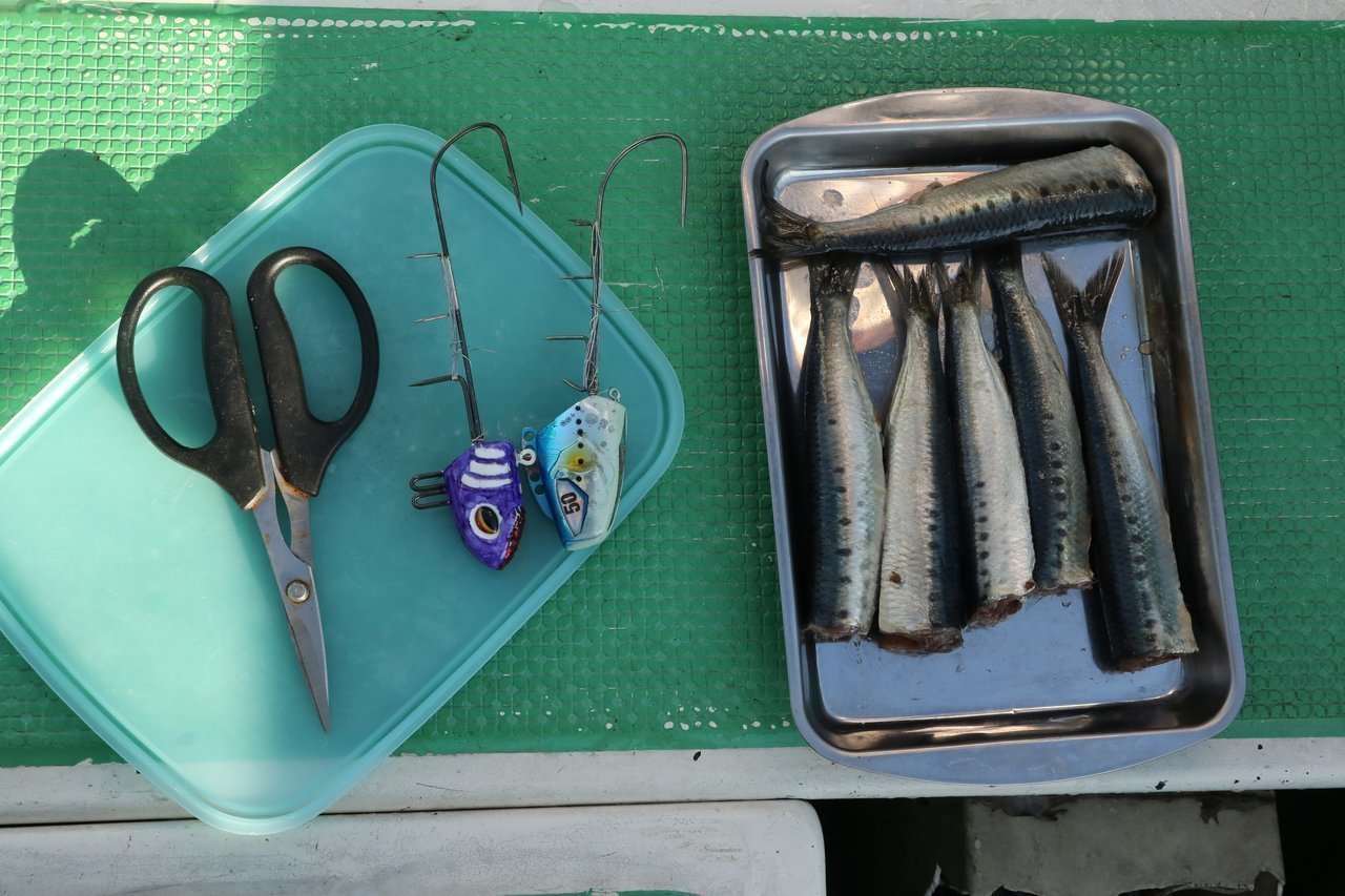 テンヤとエサの写真