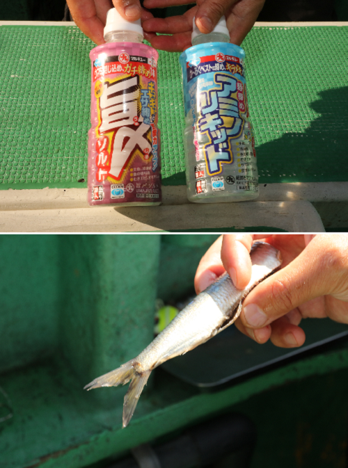 装着法の手順の説明写真