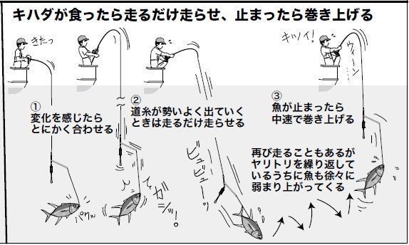 “追っかけ”のキハダ、カツオ釣り方イメージ③