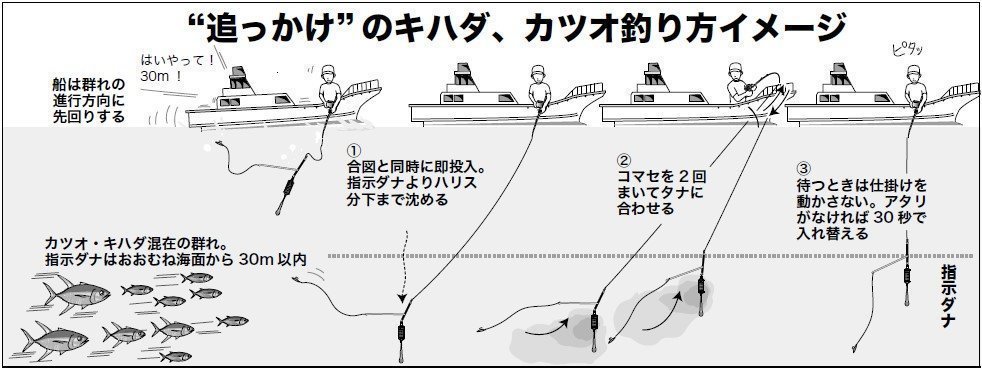 “追っかけ”のキハダ、カツオ釣り方イメージ①