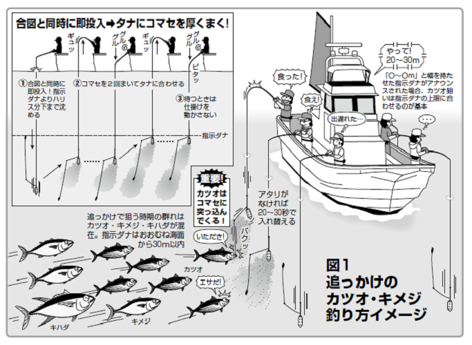 大物釣りビギナーのドリームチャレンジ（第4回）］カツオ・キメジがバリバリ釣れてドカンとキハダが食いつく！相模湾のビッグゲームが熱い！！