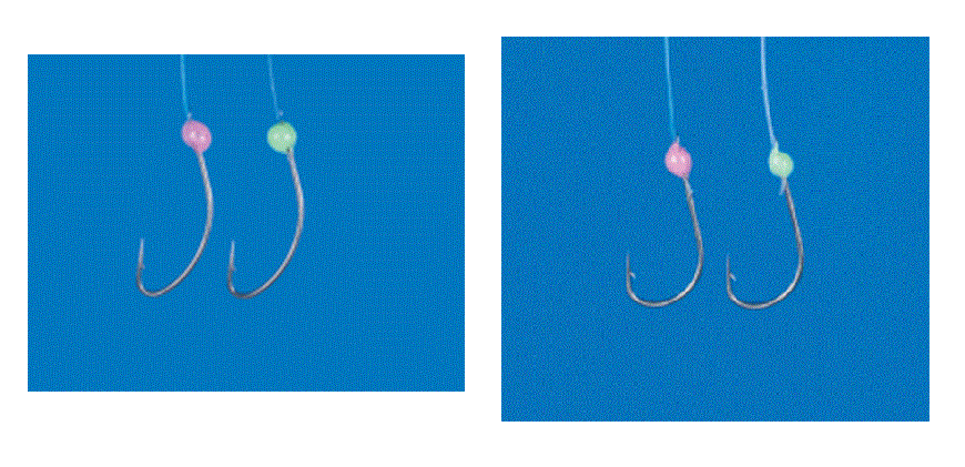 ワカサギファインとワカサギ袖の写真