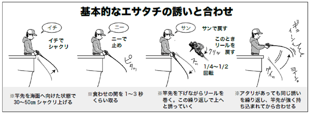 基本的なエサタチの誘いと合わせ