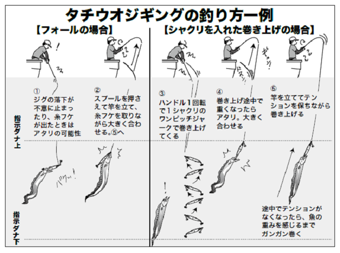 タチウオジギングの釣り方一例