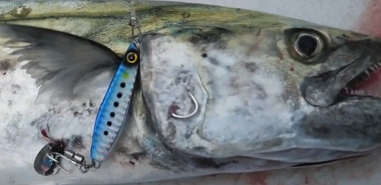 ジャックアイシリーズで海のキャスティングゲームを楽しみたい