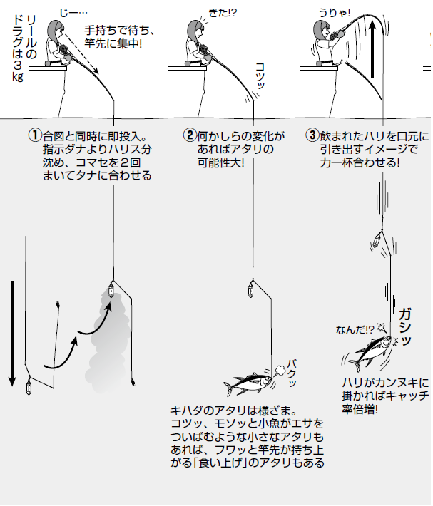 置き竿＋電動巻き上げ釣法