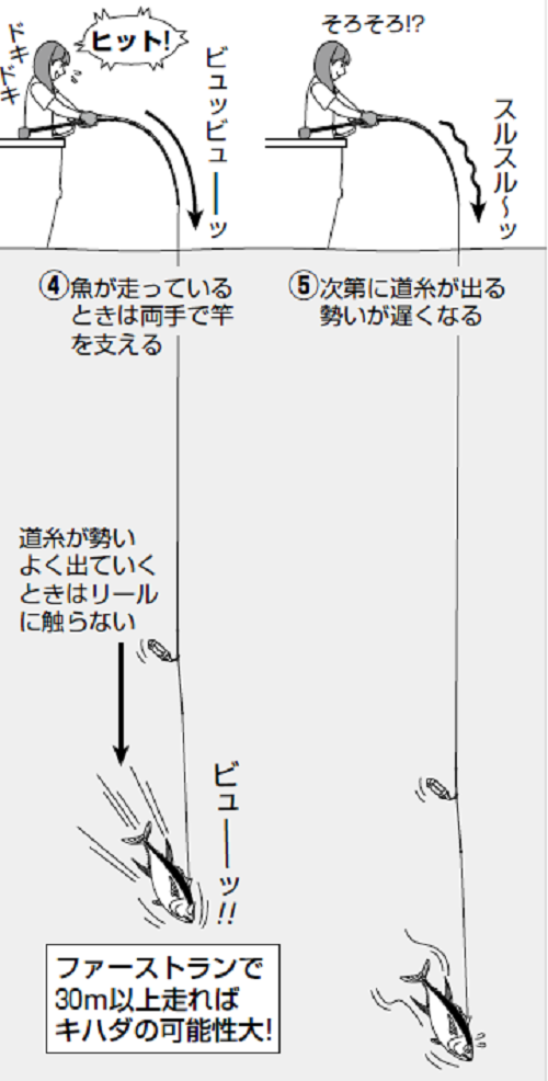 置き竿＋電動巻き上げ釣法