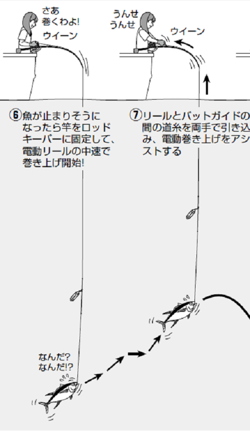 置き竿＋電動巻き上げ釣法