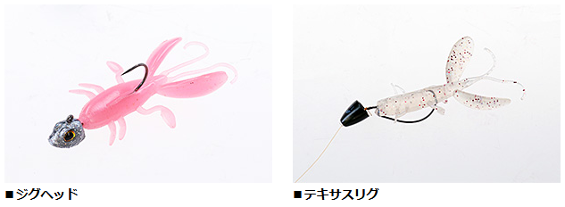 ワームのアップ写真