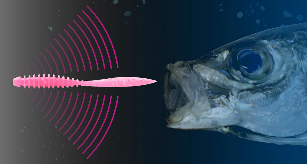 ワームのアップ写真