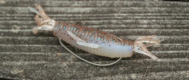 ワームのアップ写真