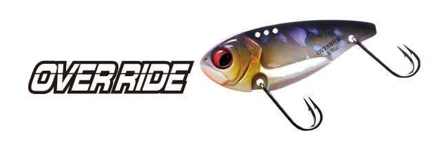 ルアーのアップ写真