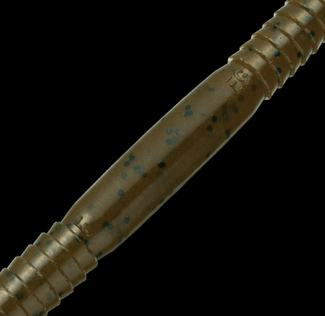 ワームのアップ写真