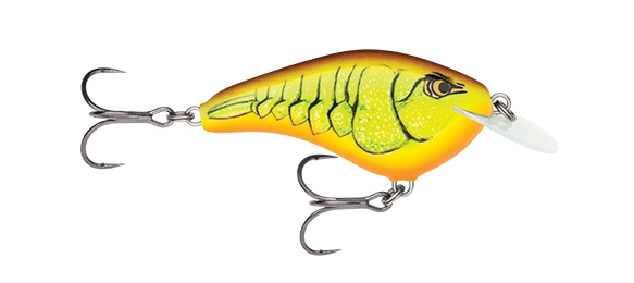 ルアーのアップ写真