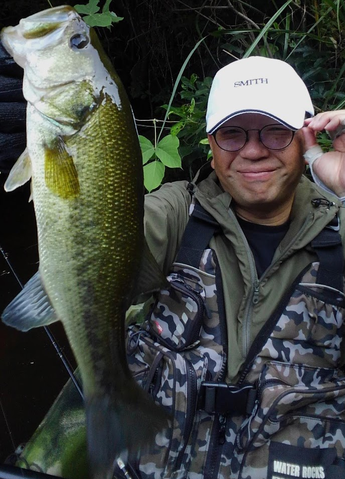 魚のアップ写真