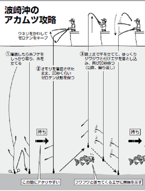 良型ラッシュに期待 波崎沖のアカムツ 秋のクライマックスへ