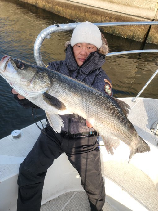 【2026年2月最新】PLAYFUL FISHING（東京都）の最新釣果情報