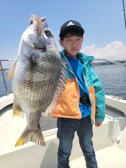 【2026年6月最新】PLAYFUL FISHING（東京都）の最新釣果情報