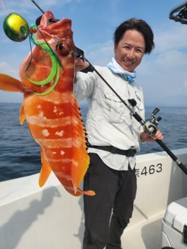 【2026年7月最新】PLAYFUL FISHING（東京都）の最新釣果情報
